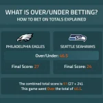 大小球是什么?玩法规则介绍-博彩网-博彩策略-博彩论坛