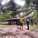 棕榈种植园出现4具焚烧尸体!泰警方紧急追捕凶手!-博彩网-博彩策略-博彩论坛